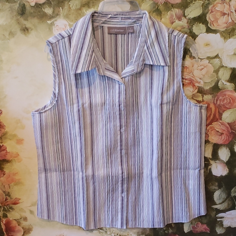 2/$5 Croft & Barrow Sz L top